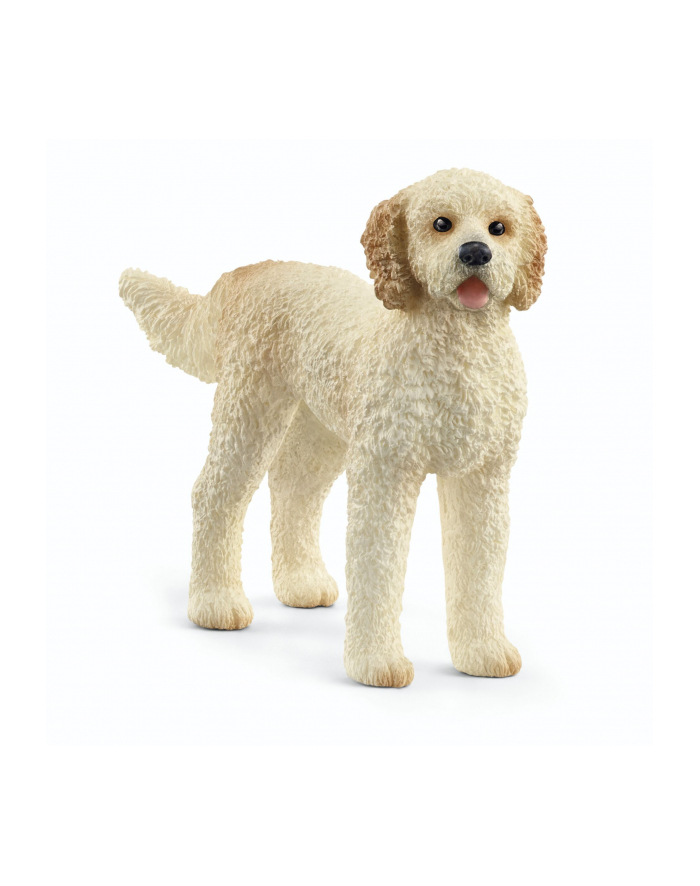 Schleich 13939 Pies rasy Goldendoodle. główny