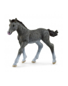 Schleich 13944 Źrebię rasy trakeńskiej. Horse Club - nr 1