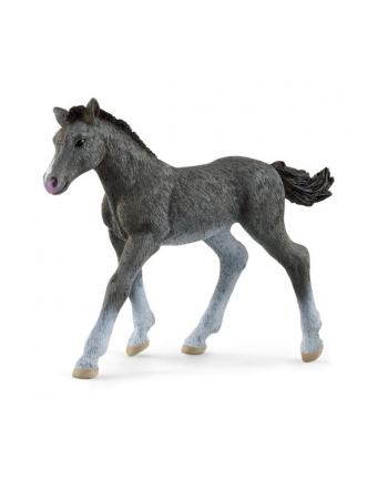 Schleich 13944 Źrebię rasy trakeńskiej. Horse Club