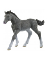 Schleich 13944 Źrebię rasy trakeńskiej. Horse Club - nr 2