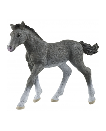 Schleich 13944 Źrebię rasy trakeńskiej. Horse Club nr 1