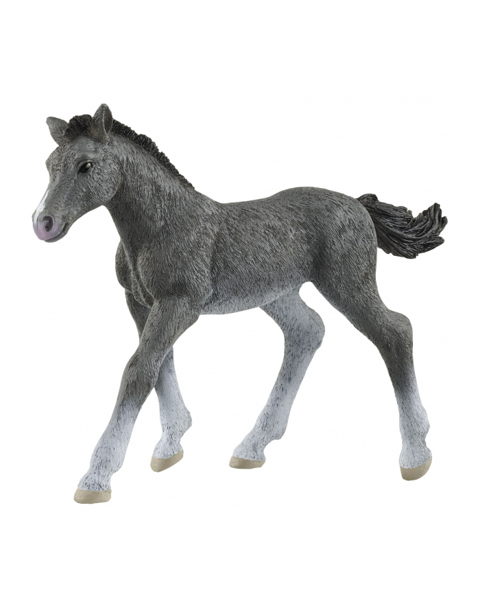 Schleich 13944 Źrebię rasy trakeńskiej. Horse Club główny