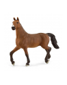 Schleich 13945 Klacz oldenburska. Horse Club - nr 5