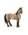 Schleich 13948 Klacz Criollo Definitivo. Horse Club - nr 1