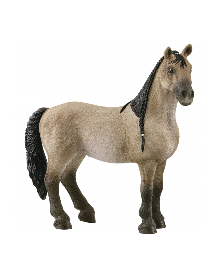 Schleich 13948 Klacz Criollo Definitivo. Horse Club główny