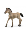 Schleich 13949 Źrebię Criollo Definitivo. Horse Club - nr 1