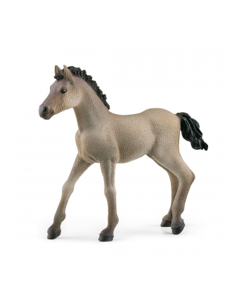 Schleich 13949 Źrebię Criollo Definitivo. Horse Club