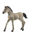 Schleich 13949 Źrebię Criollo Definitivo. Horse Club - nr 3