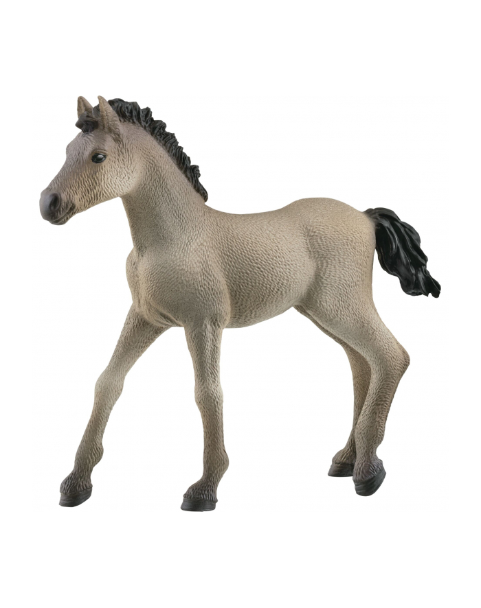 Schleich 13949 Źrebię Criollo Definitivo. Horse Club główny