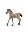 Schleich 13949 Źrebię Criollo Definitivo. Horse Club - nr 4