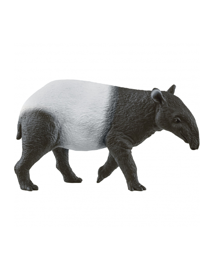 Schleich 14850 Tapir. Wild Life główny