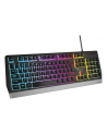 genesis Klawiatura Rhod 300 podświetlenie RGB - nr 34