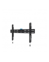 neomounts by newstar Uchwyt ścienny WL30S-850BL16 40-82 cali - nr 92