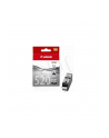 Atrament Canon PGI-520B Black - nr 5