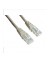 Patch cord kat.5e osłonka zalewana 0.25M szary - nr 5