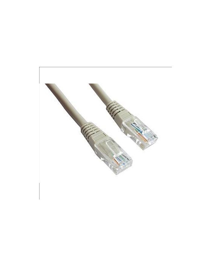Patch cord kat.5e osłonka zalewana 0.25M szary główny
