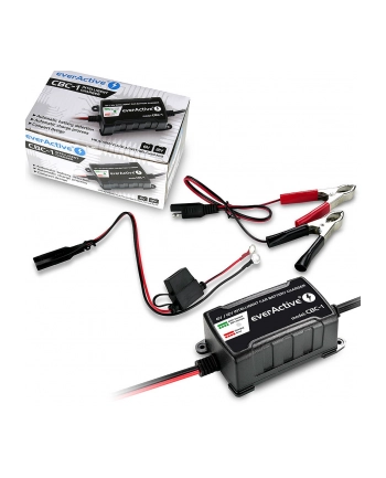 everactive Prostownik samochodowy do akumulatora 6V/12V automatyczny nr 1