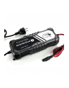 everactive Prostownik samochodowy do akumulatora 12V/24V automatyczny CBC10 - nr 6