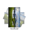 dell Monitor P2723QE 27 cali IPS LED 4K  (3840x2160)/16:9/HDMI/DP/USB-C/4xUSB 3.2 /RJ45/3Y AES - nr 38
