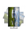 dell Monitor P2723QE 27 cali IPS LED 4K  (3840x2160)/16:9/HDMI/DP/USB-C/4xUSB 3.2 /RJ45/3Y AES - nr 46