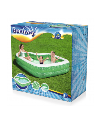 Basen dmuchany rośliny 54336 BESTWAY