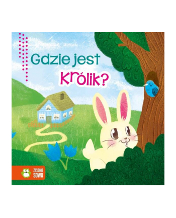 zielona sowa Książka Wiosenne bajeczki. Gdzie jest królik?