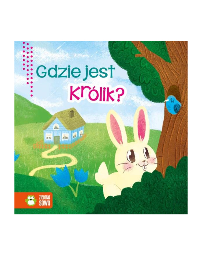 zielona sowa Książka Wiosenne bajeczki. Gdzie jest królik? główny