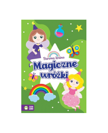 zielona sowa Książka Barwna kraina. Magiczne wróżki