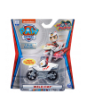 PAW PATROL / PSI PATROL Małe autka p12 Spin Master mix - nr 10