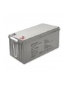 qoltec Akumulator AGM | 12V | 200Ah | max. 3000A - nr 16