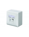 DIGITUS CAT 6A Class EA network outlet shielded 2x RJ45 LSA pure Kolor: BIAŁY surface mount vertical cable installation - nr 18