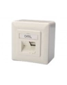 DIGITUS CAT 6A Class EA network outlet shielded 2x RJ45 LSA pure Kolor: BIAŁY surface mount vertical cable installation - nr 24