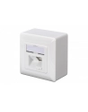 DIGITUS CAT 6A Class EA network outlet shielded 2x RJ45 LSA pure Kolor: BIAŁY surface mount vertical cable installation - nr 32