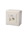 DIGITUS CAT 6A Class EA network outlet shielded 2x RJ45 LSA pure Kolor: BIAŁY surface mount vertical cable installation - nr 33