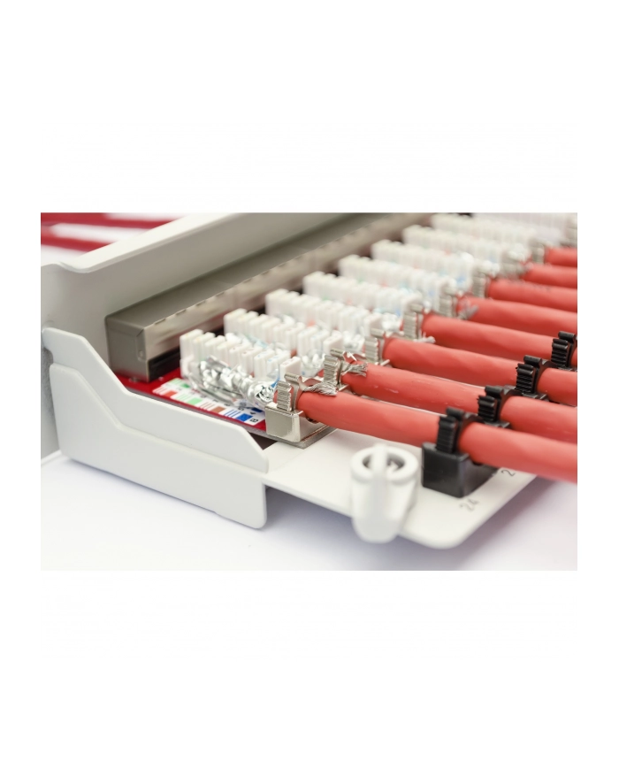 DIGITUS Patch Panel 19inch 24Port Cat6 shielded grey RAL7035 cableinstallation about LSA 10GBit up to 500 MHZ główny