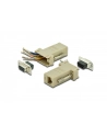 assmann electronic DIGITUS Adapter RS232/RJ45 MODULARNYny Typ DSUB9/RJ45 Ż/Ż - nr 11