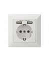 DIGITUS DA-70613 Safety Wall Outlet 2xUSB USB output total 5V 2.1A Input AC 250V 50Hz RAL 9003 - nr 11