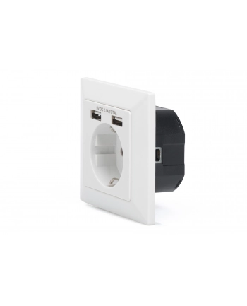 DIGITUS DA-70613 Safety Wall Outlet 2xUSB USB output total 5V 2.1A Input AC 250V 50Hz RAL 9003