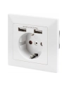 DIGITUS DA-70613 Safety Wall Outlet 2xUSB USB output total 5V 2.1A Input AC 250V 50Hz RAL 9003 - nr 26