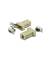 assmann electronic DIGITUS Adapter RS232/RJ45 MODULARNYny Typ DSUB9/RJ45 Ż/Ż - nr 1