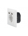 DIGITUS DA-70613 Safety Wall Outlet 2xUSB USB output total 5V 2.1A Input AC 250V 50Hz RAL 9003 - nr 12