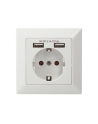 DIGITUS DA-70613 Safety Wall Outlet 2xUSB USB output total 5V 2.1A Input AC 250V 50Hz RAL 9003 - nr 13