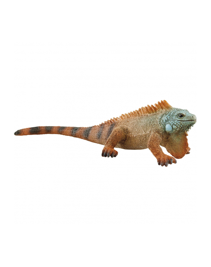 Schleich 14854 Iguana Wild Life główny
