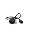 Pwr Cord, 10A, 230V, C14 to Schuko rec/ APC Power Cords , na - nr 31