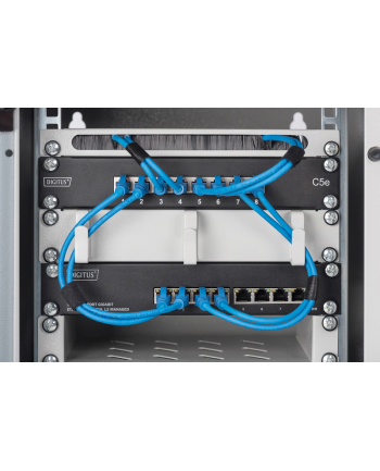 Digitus Dn-80117 - Switch 8 Ports Managed Rack-Mountable (DN80117)
