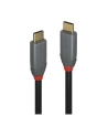 Lindy 36901 Usb 3.1 C 5A Pd Anthra Line 1M (Ly36901) - nr 22
