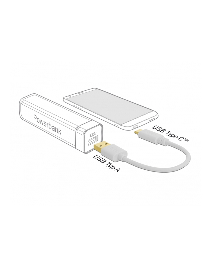 Delock Kabel Usb-C(M)->Usb-A(M) 2.0 0.15M Biały (Z32204) główny
