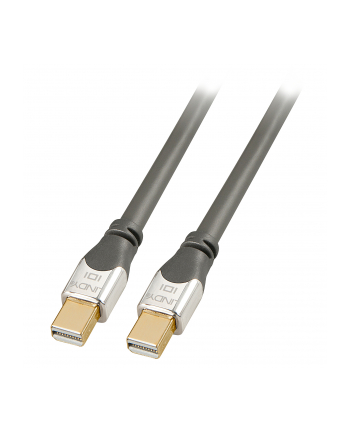 Lindy Kabel Mini DisplayPort Cromo Line- 0.5m (LY36305)