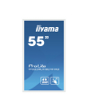 Iiyama TF5539UHSCW1AG - nr 19