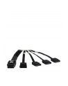 Inter-Tech KABEL 4 x SATA - SFF 8087 (88885237) - nr 1